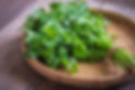 cilantro.jpg