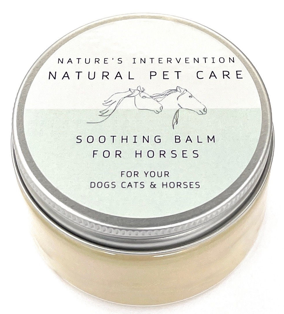 SOOTHING BALM for HORSES