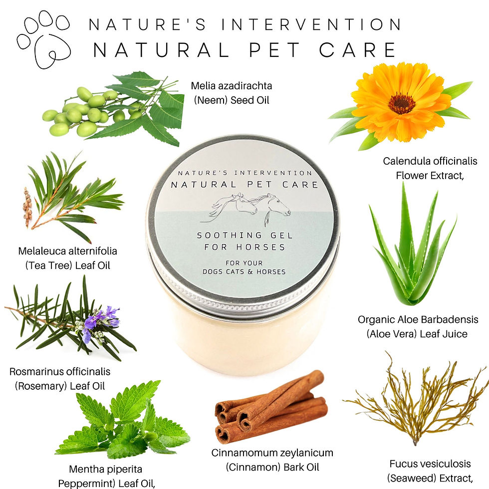 Thumbnail: SOOTHING ALOE VERA GEL for HORSES