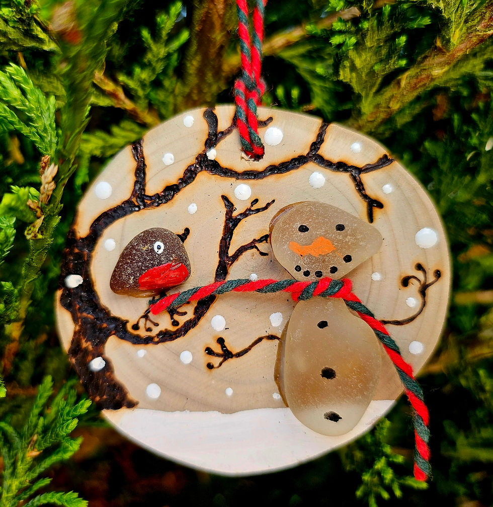Thumbnail: Snowman and a Robin