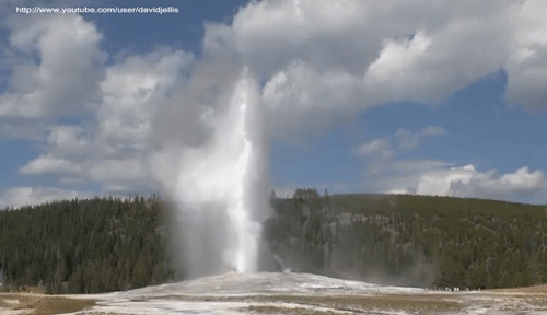 DefiniteImmenseBluebottle-size_restricte