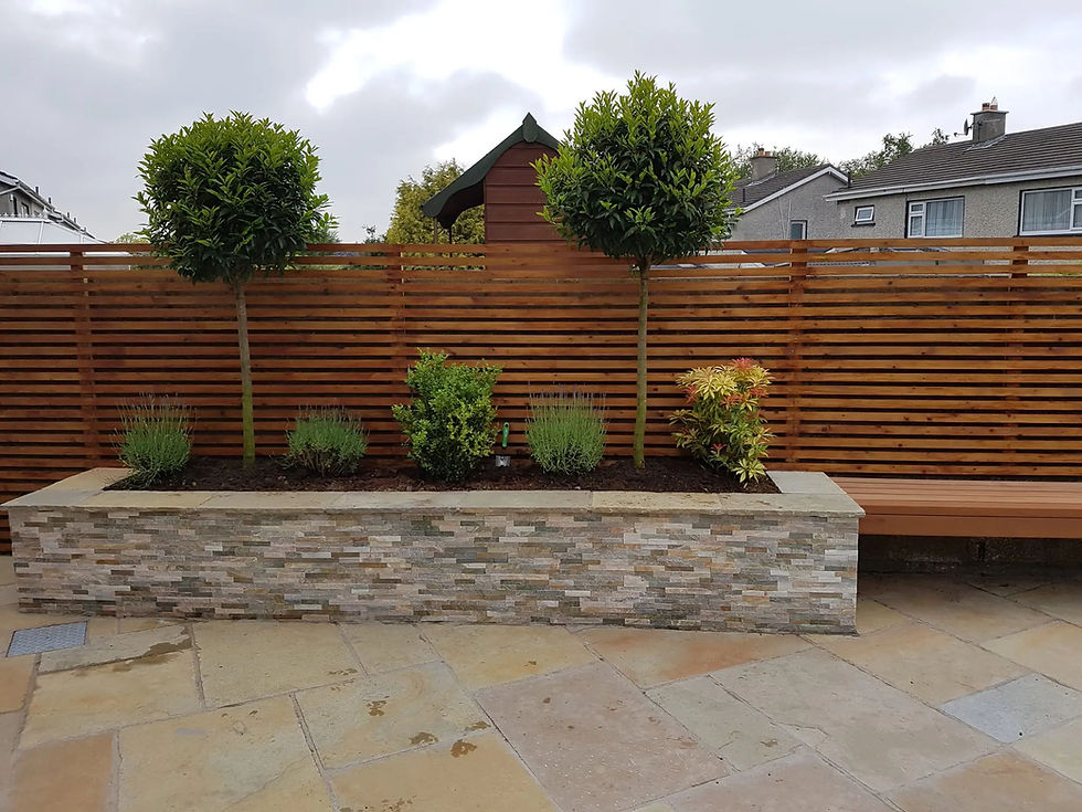 raised planter.jpg