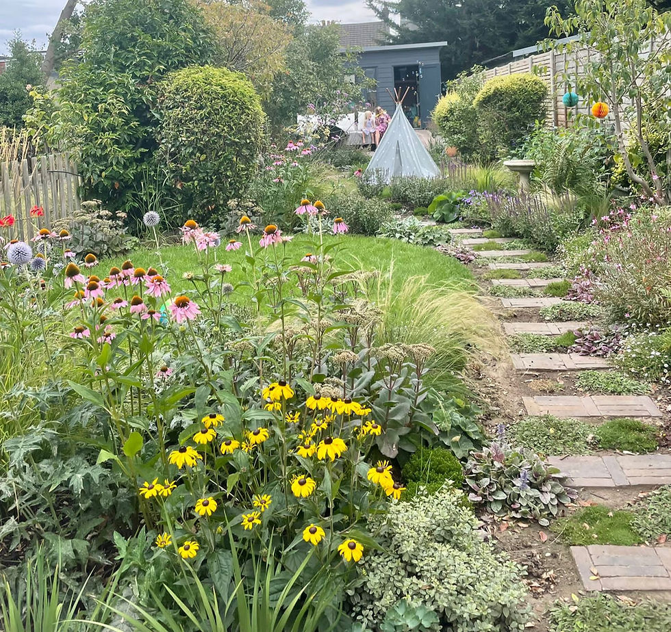 I used a curved path when I redesigned a long narrow garden in Beckenham
