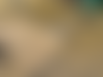 Can Driveways Be Cleaned?