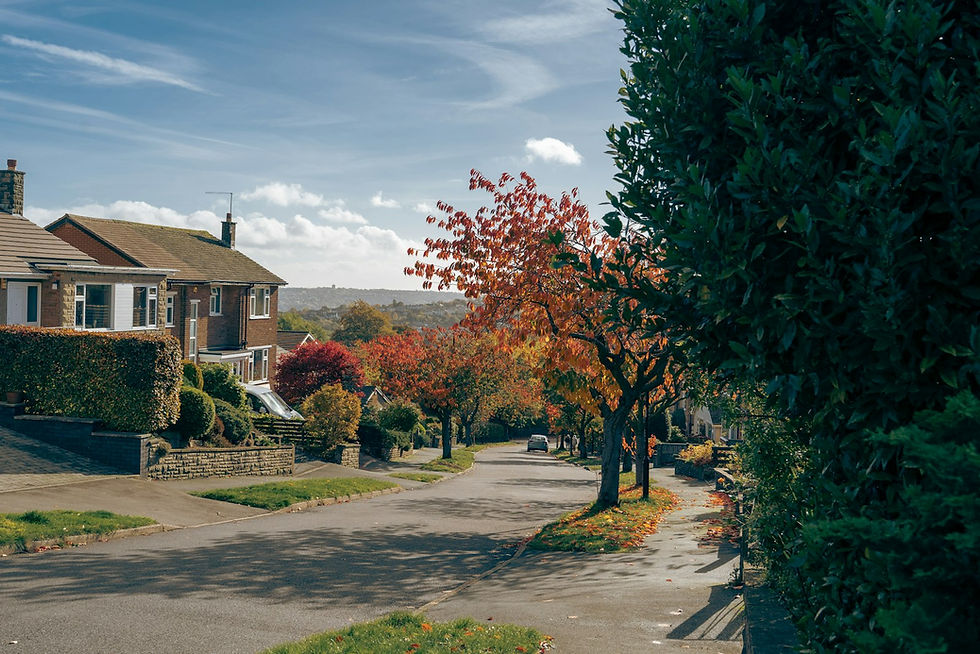 Suburban street of brick houses with paved front drives and autumn trees