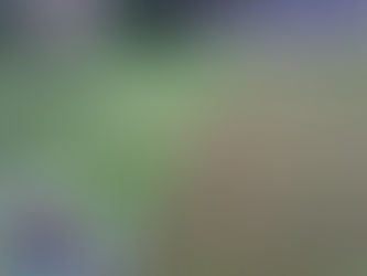 lawn care business growing through seo