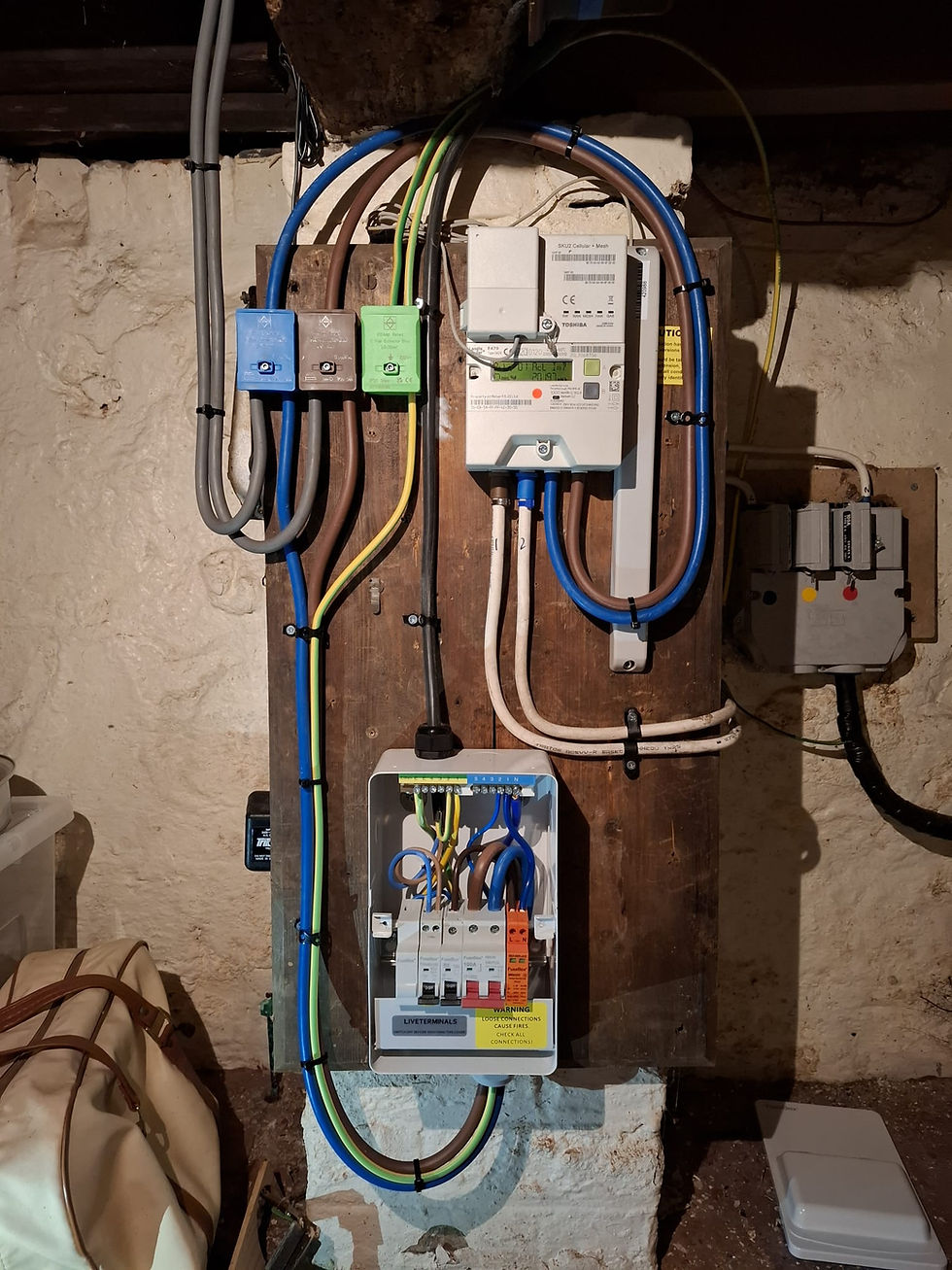fuse board maintenance