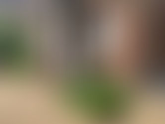 Tiny Front Garden Ideas to Transform Small Spaces