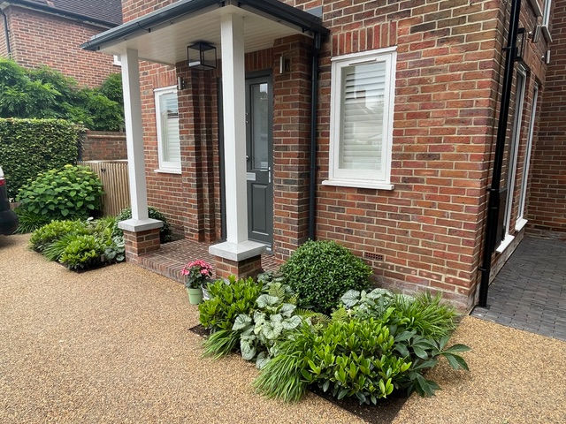 Garden Design in Dulwich