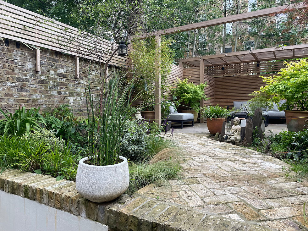 Small Garden Design Clapham