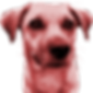 redpepper1.png