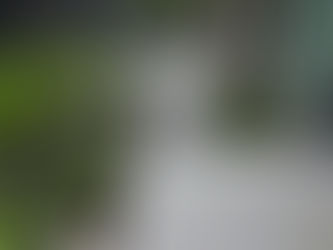 Blank Canvas New Build Garden Ideas