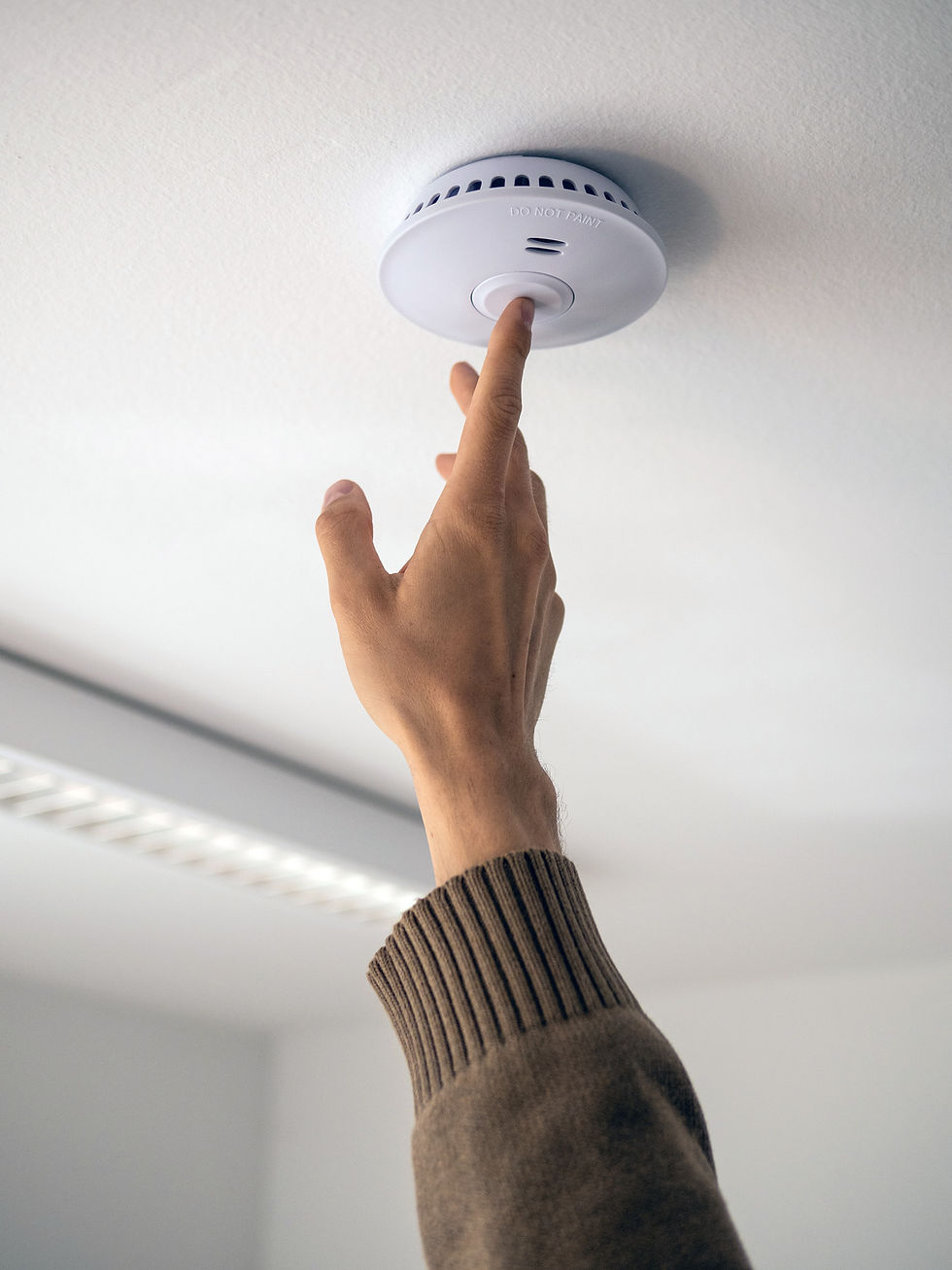 domestic smoke alarm