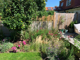 sustainable courtyard garden design