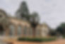 Margram Park's Orangery windows are a feature of their own