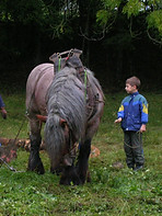 DSCN0699.JPG