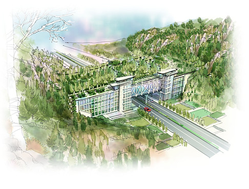 eco-link bridge type 1A.jpg