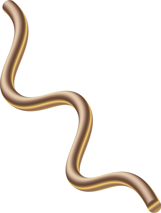 Curved Metallic Ribbon