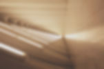 ecotone architecture partners
