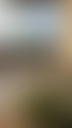 🚀 Conquer Your Exams: The Best Girls Hostel Near Allen Indore is Feasy Living