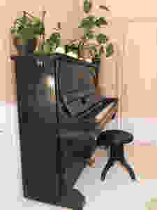 black piano chair, musta pianotuoli
