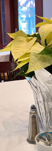 Winter Wonderland themed Christmas party with white poinsettia and table linens.