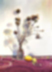 Dried 56x76cm