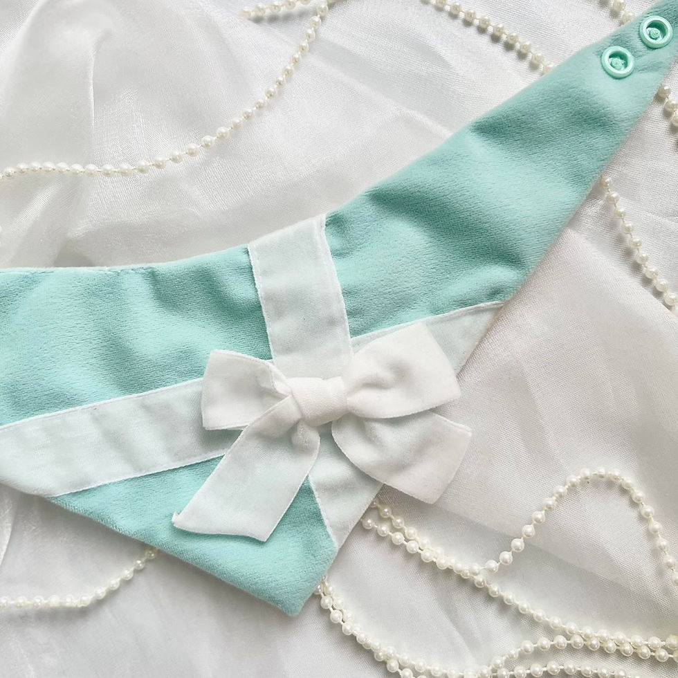 Classic Sniffany Bandana