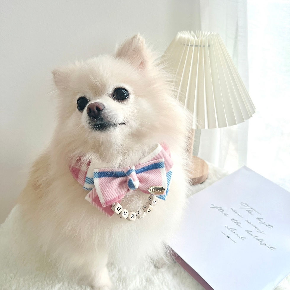 Thumbnail: Gummy Palette Bow Bib