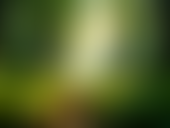 The Importance of Sustainable Living in Today's World