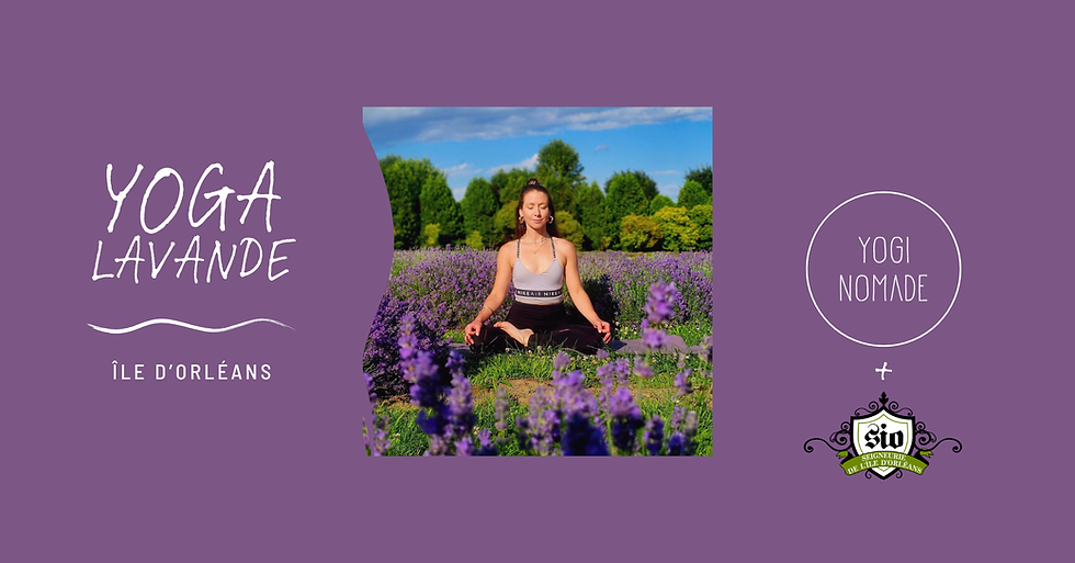 Yoga dans la Lavande