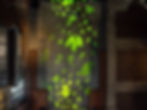 Aerial view looking down on walkway lit up with bright green projected leaves on the ground