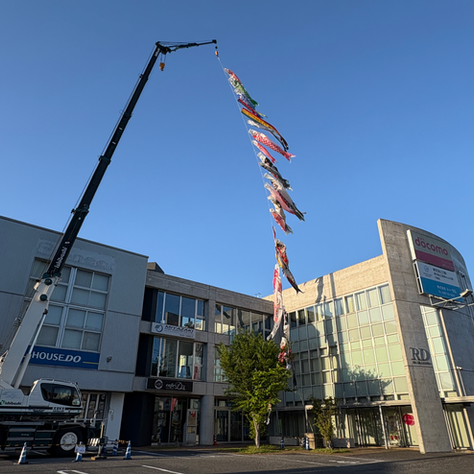 ５年目！クレーン車コラボ鯉のぼり🎏