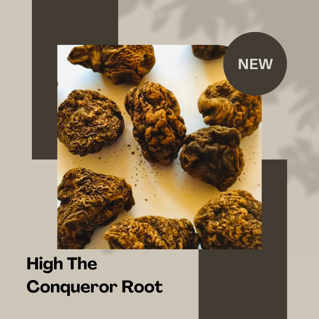 High The Conqueror Root