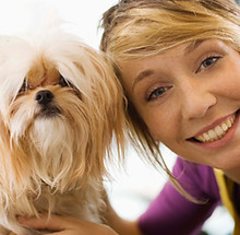 Dog Groomer