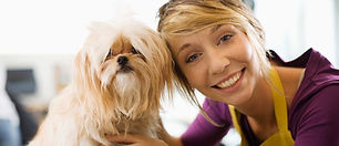 Dog Groomer