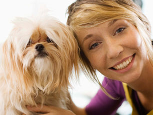 Dove hond trainen