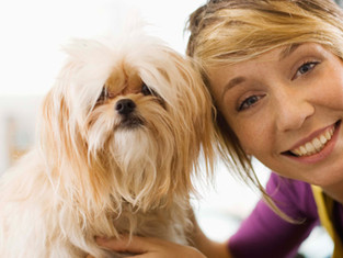 Dog Groomer