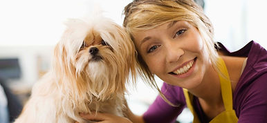 Dog Groomer