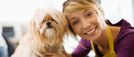 Dog Groomer