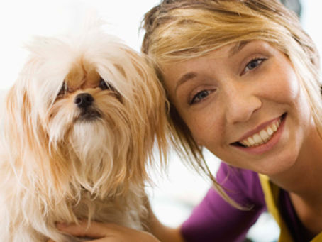 Cani da compagnia: affetto infinito