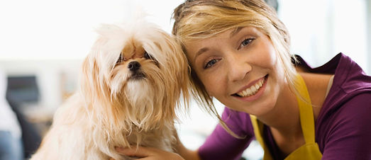 Dog Groomer