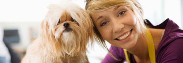 Acupuncture Veterinary 19348