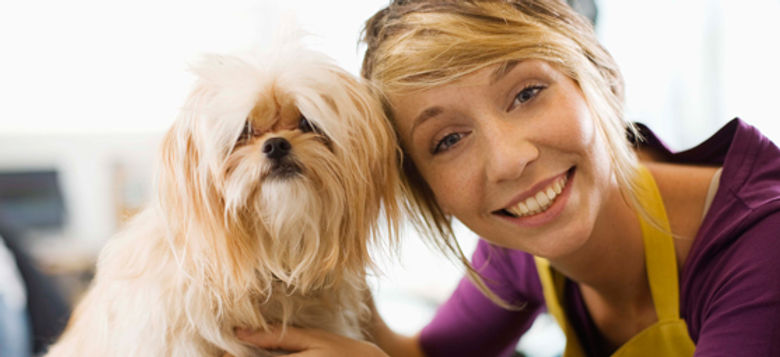 Dog Groomer