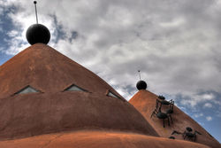 More bugs on the roof small.jpg
