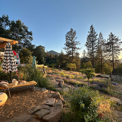 Landscape Design - coming soon