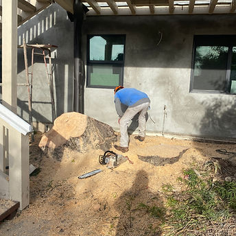 tree-service-san-diego 8026.jpeg
