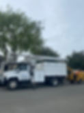 tree-service-san-diego 8032.jpeg