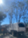 tree-service-san-diego 7896.jpeg