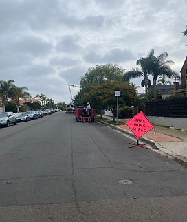 tree-service-san-diego 8033.jpeg